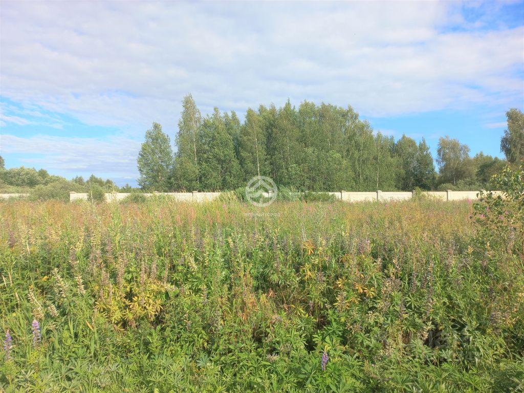 земля городской округ Клин г Высоковск Селинское шоссе, городской округ Клин фото 1