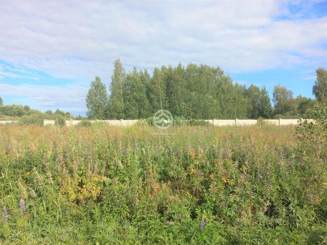 Селинское шоссе, городской округ Клин фото