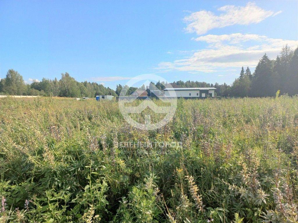 земля городской округ Клин г Высоковск Селинское шоссе, городской округ Клин фото 2