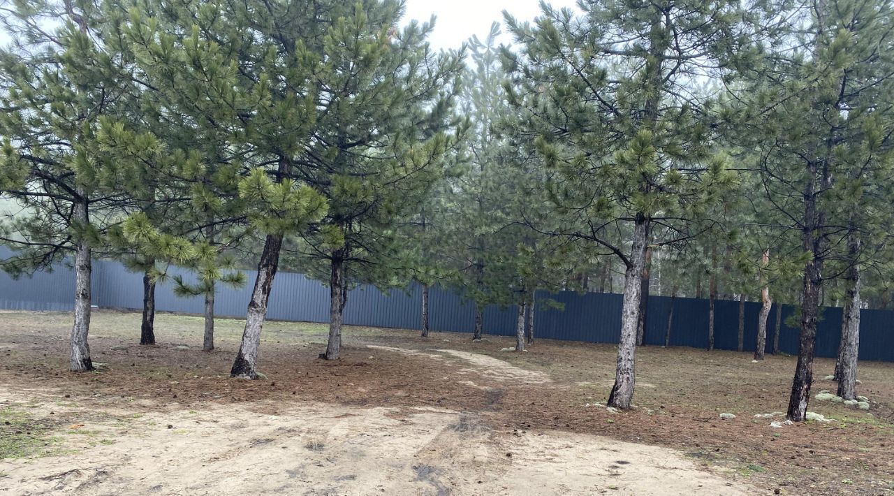 земля г Саратов р-н Заводской пр-д 2-й Медиков фото 1