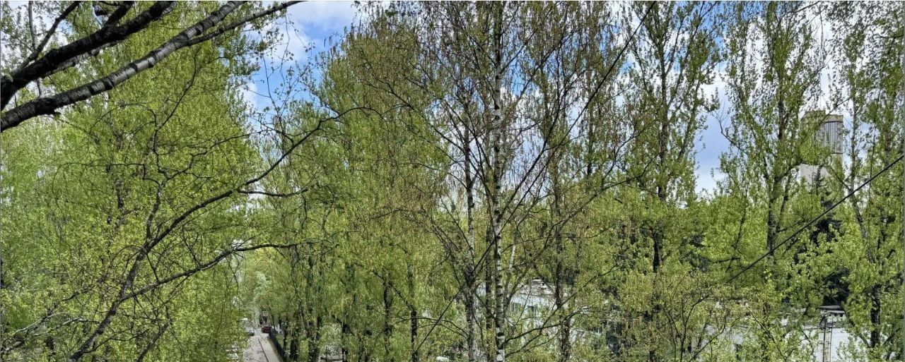 квартира г Одинцово ул Северная 54 Одинцово фото 11
