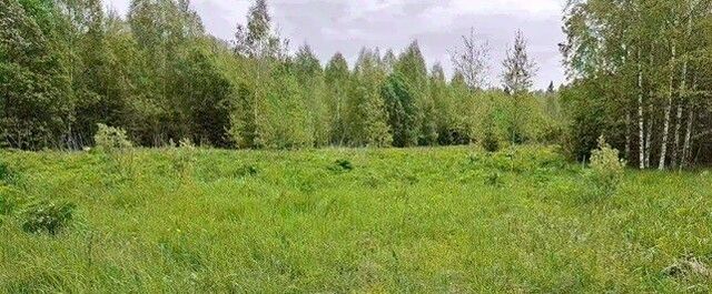 днп Пареево фото