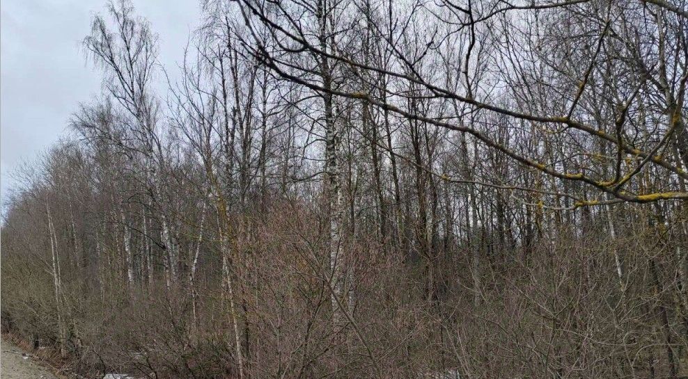 офис г Чехов фото 1