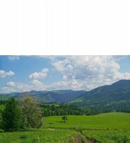 земля Республика Алтай, Майма фото