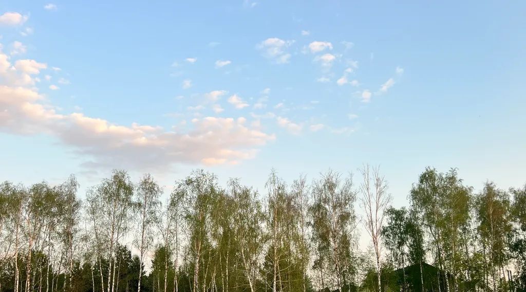 дом г Воронеж р-н Железнодорожный снт Никольское ул Северная 177 фото 12