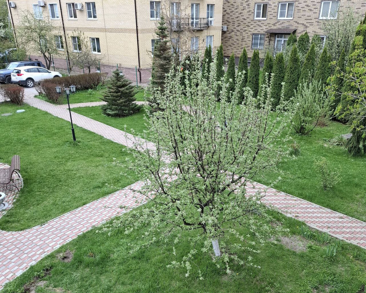 квартира г Нижний Новгород Лапшиха ул Агрономическая 32 м-н фото 36