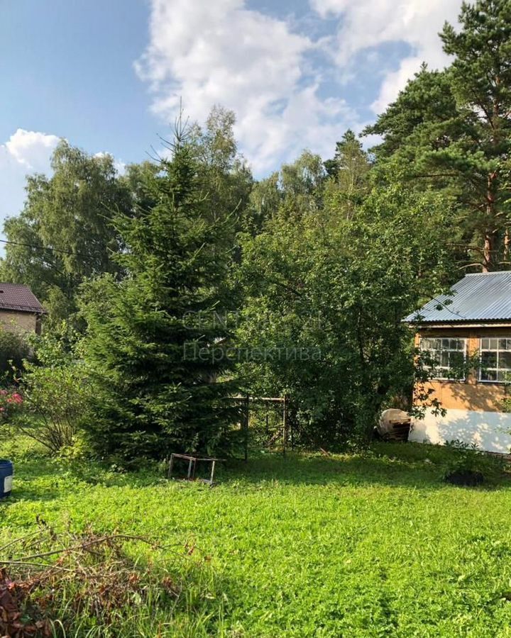 земля г Люберцы ст терЛесная поляна 9736 км, 60А, Лыткарино, Егорьевское шоссе фото 4