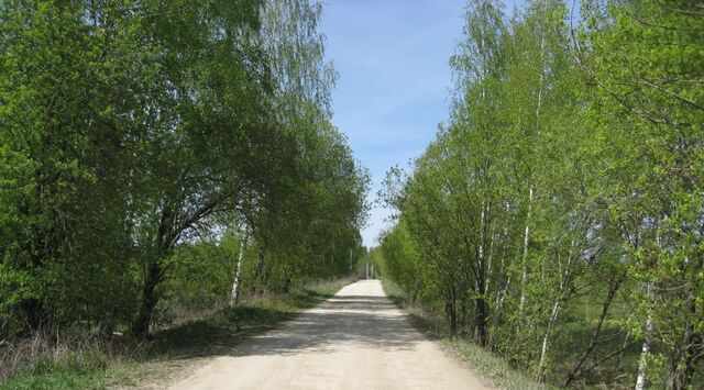 д Пашково Страховское с/пос фото