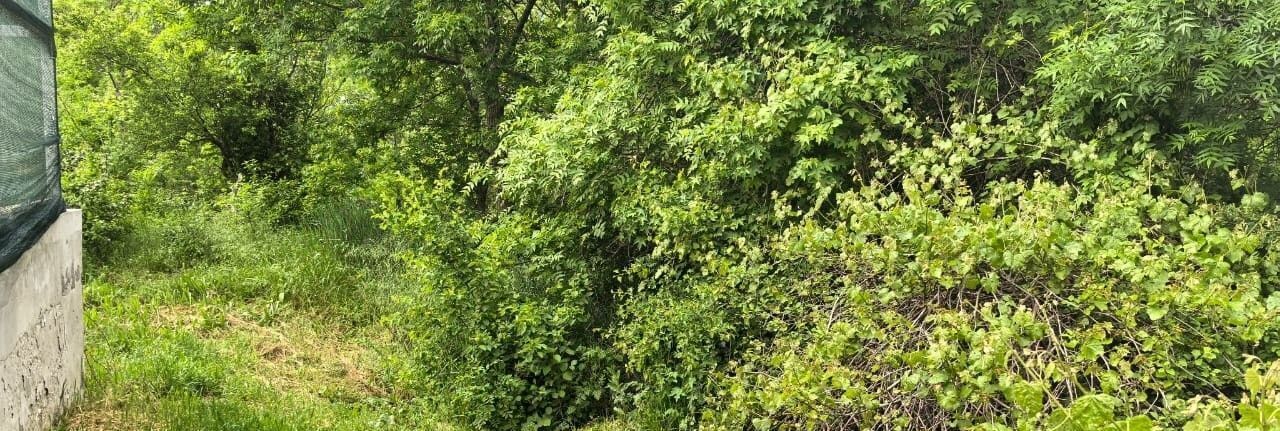земля г Новороссийск с Борисовка ул Гранатовая 10 фото 3