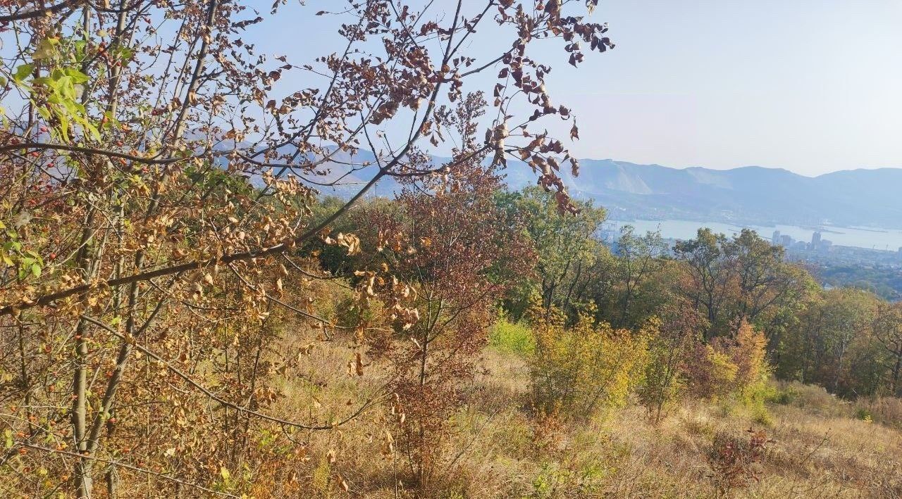 земля г Новороссийск с Борисовка ул Чапаева 30 фото 5