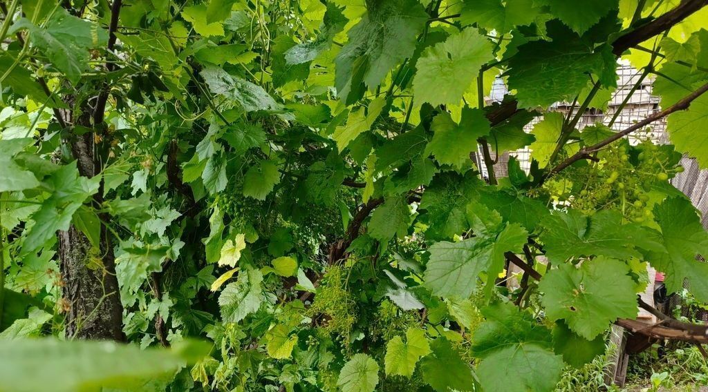 дом г Оренбург р-н Промышленный Красный Городок ул Курочкина 41а фото 5