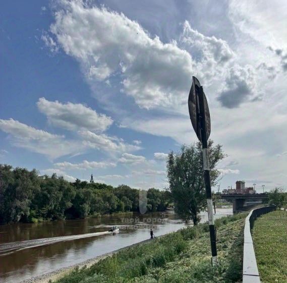 квартира г Омск р-н Центральный ул Чехова 3 Центральный АО фото 30