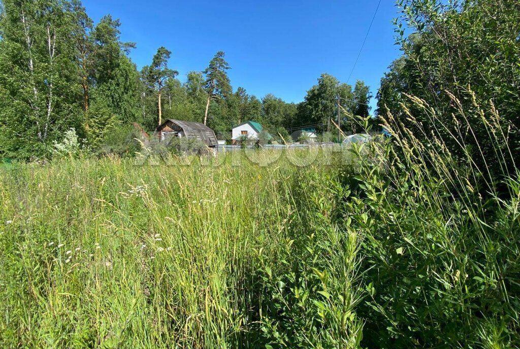 земля г Новосибирск снт Сибирский мичуринец ул Солнечная (северная) фото 1