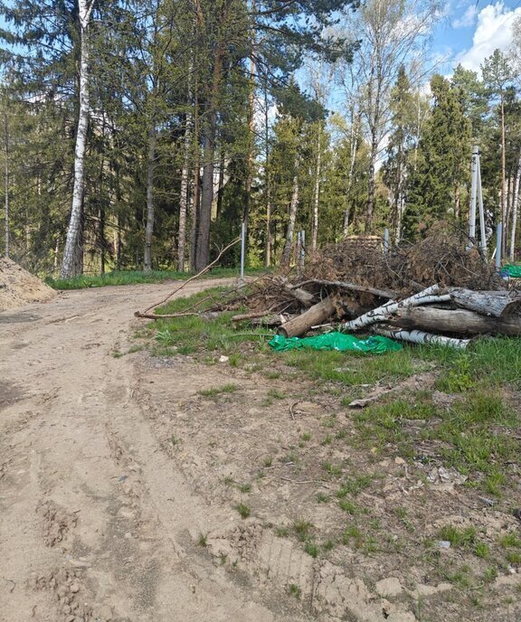 земля г Щёлково территория Залесье-3 фото 3