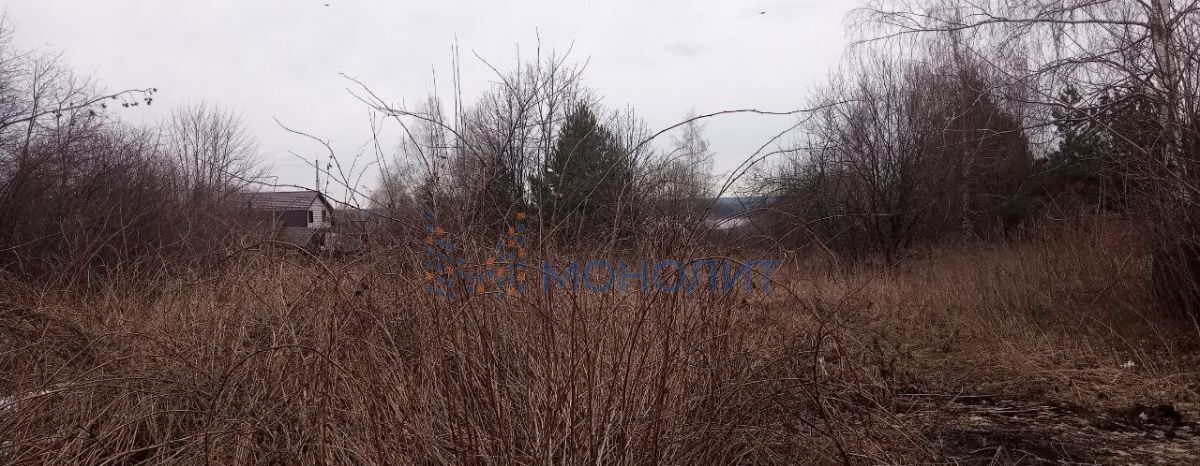 земля г Бор ул. Ворожейкина фото 1