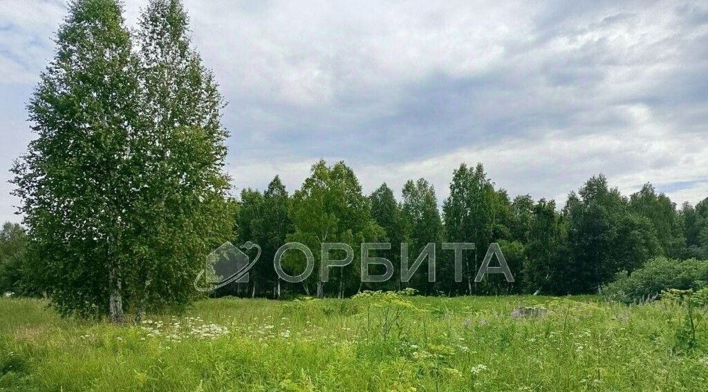 земля г Тюмень р-н Центральный СОСН Березка-3 тер., ул. 3-я фото 4