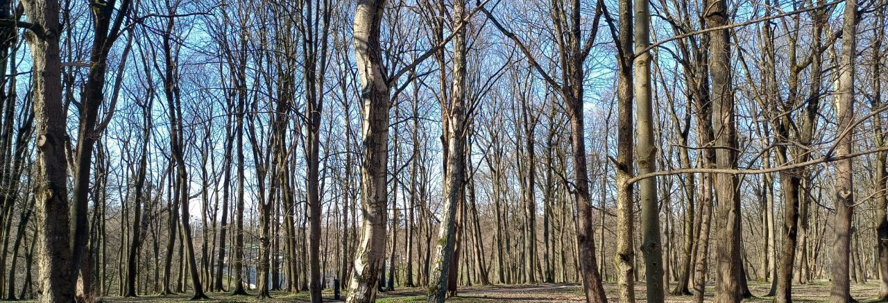 квартира г Калининград р-н Центральный ул Д.Донского 20 фото 25