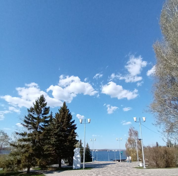 квартира г Самара р-н Октябрьский Алабинская ул Осипенко 24 фото 19