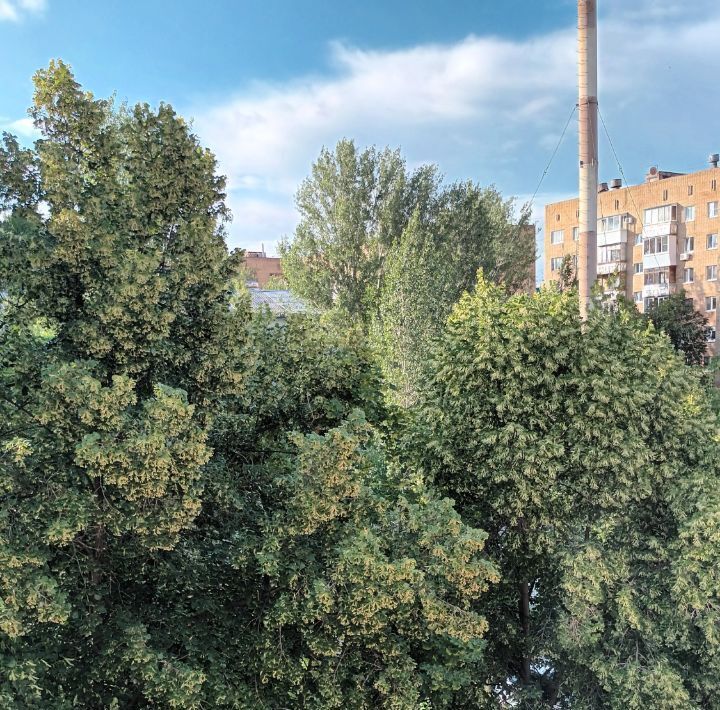 квартира г Самара р-н Промышленный Кировская пр-кт Юных Пионеров 118 фото 6