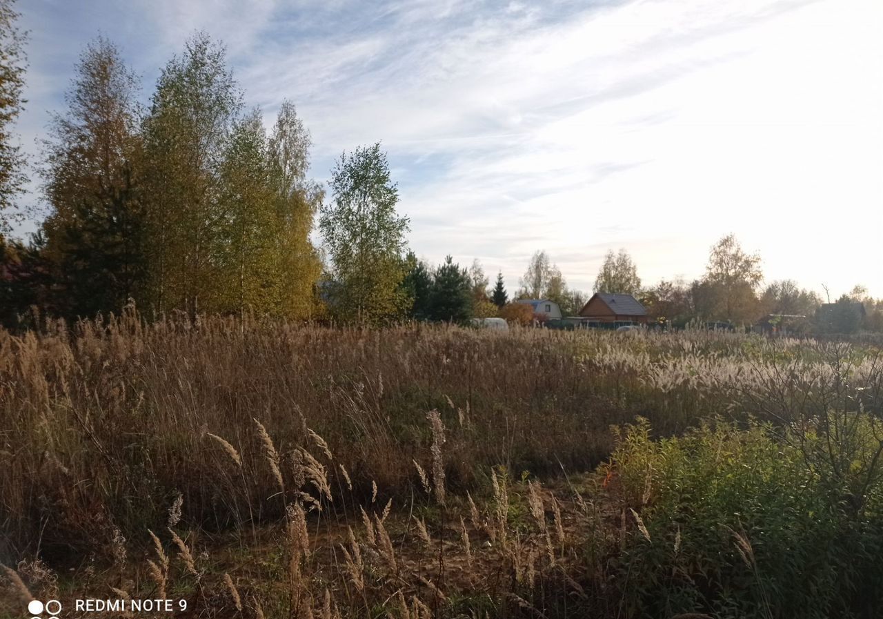 земля городской округ Клин г Высоковск 85 км, д. Васильково, г. о. Клин, Ленинградское шоссе фото 11