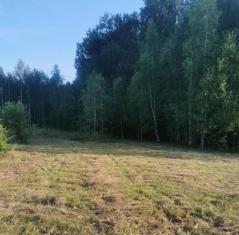 Маклино с пос фото