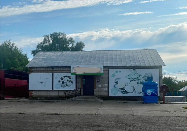 р-н Уфимский д Осоргино ул Садовая 12 Таптыковский сельсовет, Уфа фото