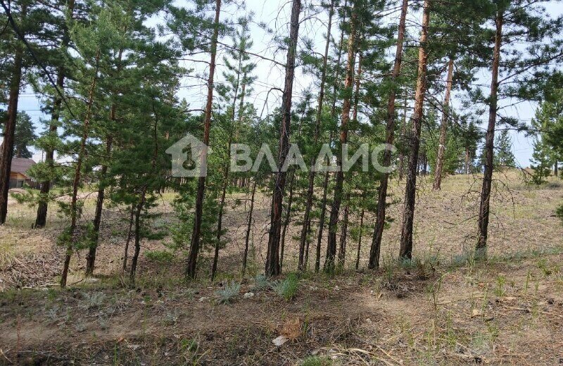 земля г Улан-Удэ ул Солбона Ангабаева 260 фото 2