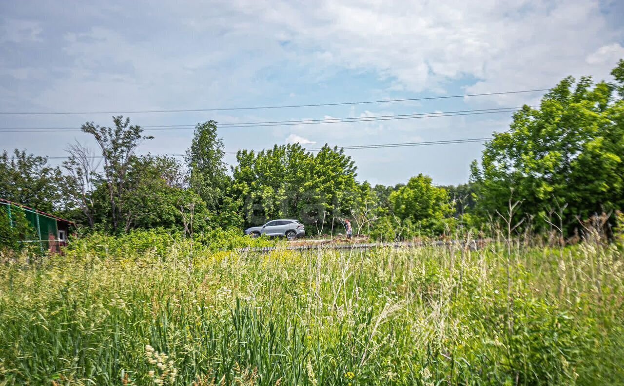 земля г Бердск Бердское шоссе, СНТ Луговое фото 8