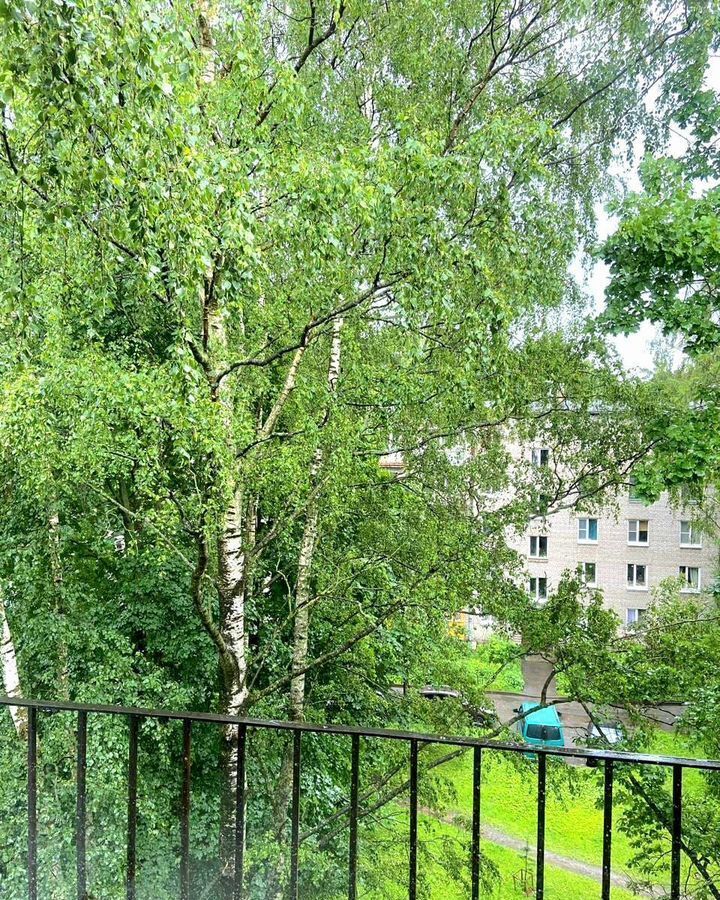 квартира г Пушкин б-р Алексея Толстого 18 р-н Пушкинский фото 10
