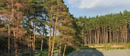 квартира г Тюмень р-н Ленинский ул Западносибирская 13 Квартал Культура Ленинский административный округ фото 7