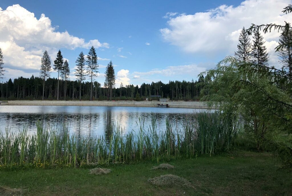 квартира г Кашира с Семенково ул Сиреневая 4 Баковка, КП Азарово северное фото 17