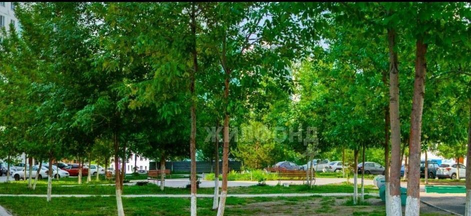 квартира г Новосибирск Золотая Нива ул Татьяны Снежиной 41 фото 13