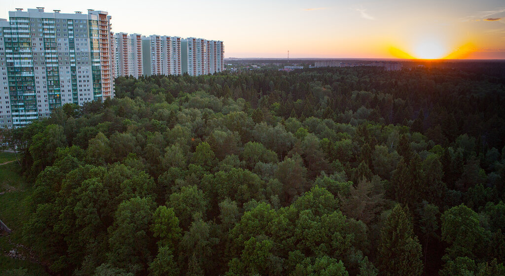 квартира г Красногорск б-р Космонавтов 17 Красногорская фото 5