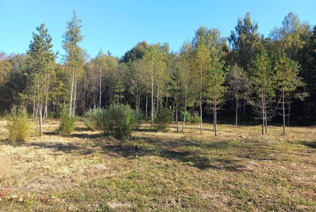 земля п Поливаново Подольск фото