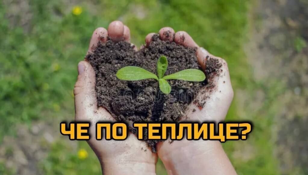земля г Ижевск р-н Индустриальный ул Созвездий фото 1