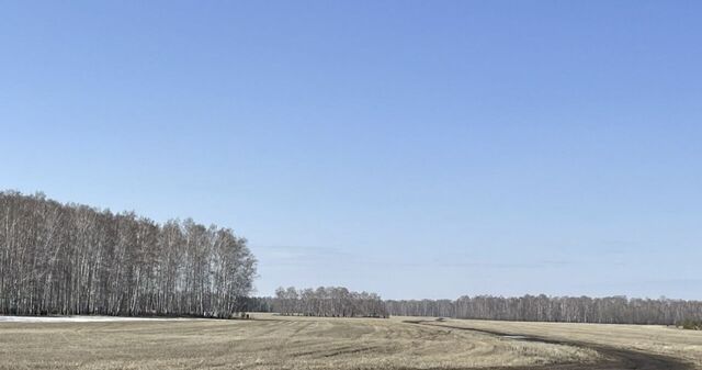 ул Энтузиастов 92 фото