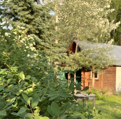 снт Надежда 3-й Лог Шуваевский сельсовет фото