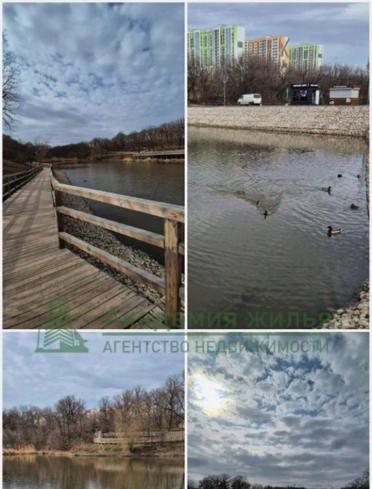 квартира г Саратов р-н Кировский ул им Лисина С.П. 6 фото 11