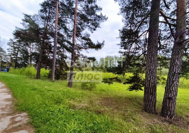 25 км, Боровская ул, г. о. Домодедово, Симферопольское шоссе, д. Ивановка фото