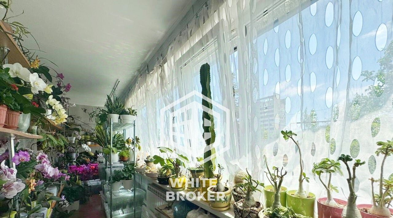 квартира г Ялта ул Ленинградская 13 фото 13
