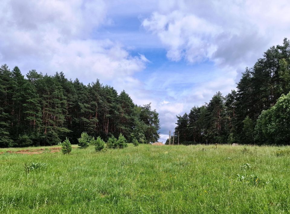 земля р-н Боровский г Боровск Бора-Боровск форестлейк кп фото 5