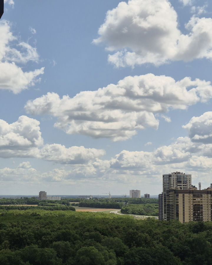 квартира г Воронеж р-н Центральный ул Загоровского 9/2 фото 12