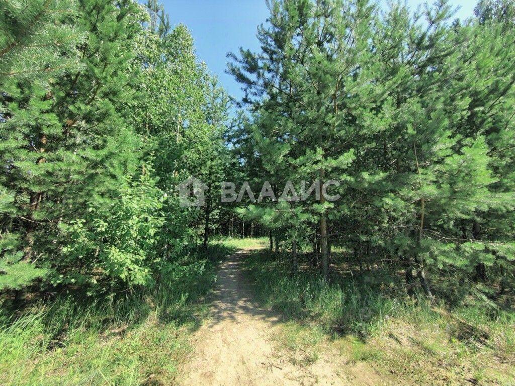 земля г Балашиха Железнодорожная, СНТ Заря тер. фото 2