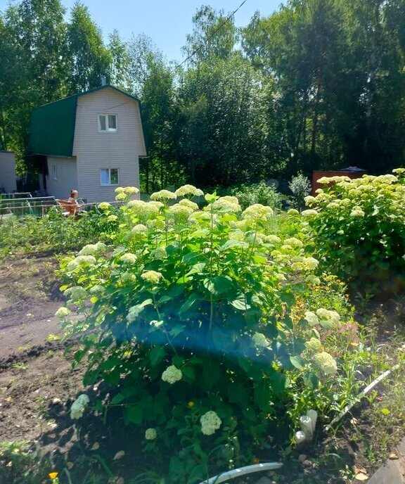 дом г Бердск снт Родник-2 фото 4
