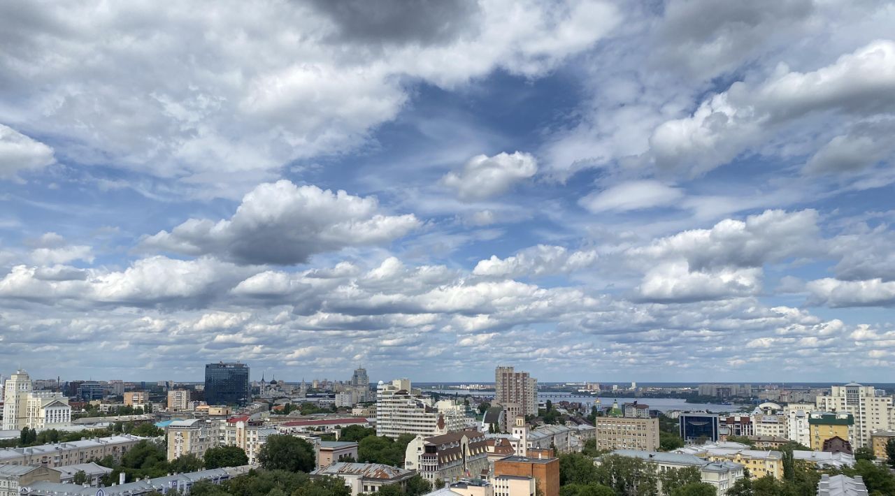 квартира г Воронеж р-н Ленинский ул Платонова 11 фото 6