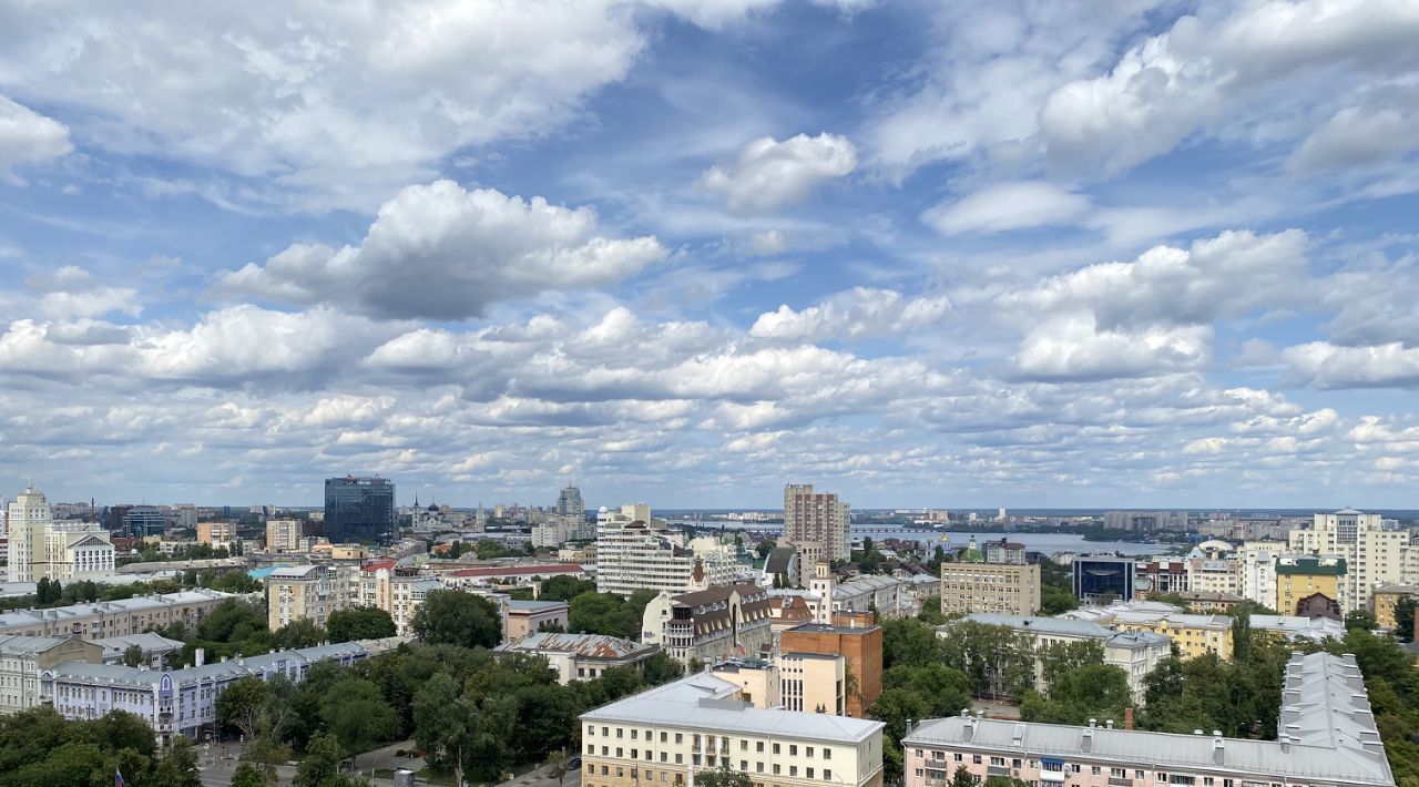 квартира г Воронеж р-н Ленинский ул Платонова 11 фото 5