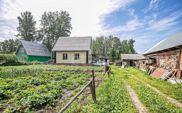 Бердское шоссе, территория НСТ Отдых, Цветочная ул., 70 фото