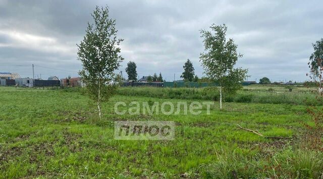 земля Рыболово-2 дп фото