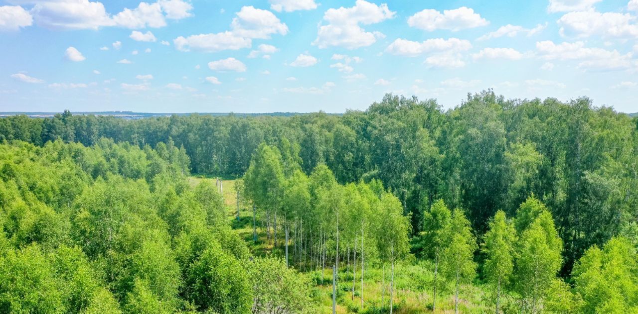 земля г Домодедово д Ивановка Лесной остров кп, 44 фото 9