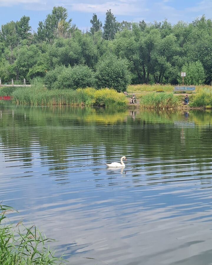 квартира г Омск р-н Октябрьский ул Шебалдина 199/2 фото 34
